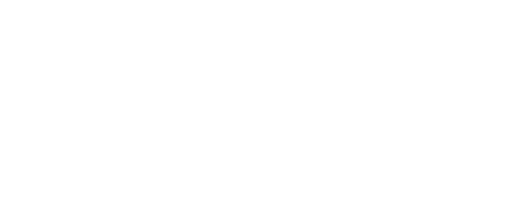 Black Friday Rica 2025